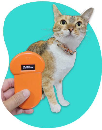 Fawa Pet Nanny