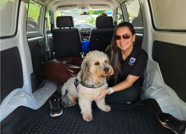 Grupo Fawa pet cargo